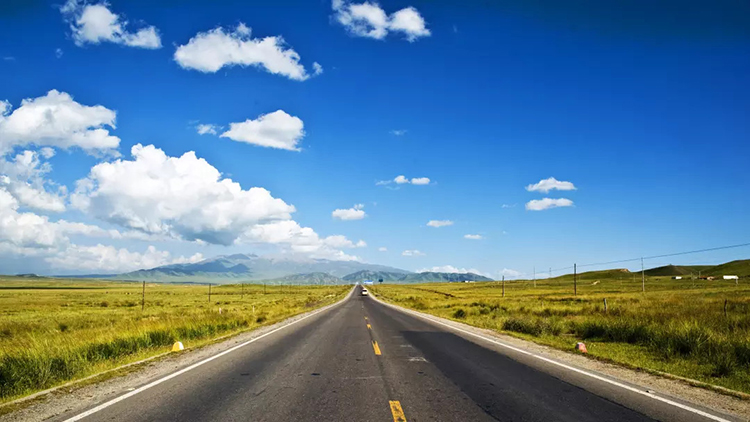 91精品国产自产在线老师啪