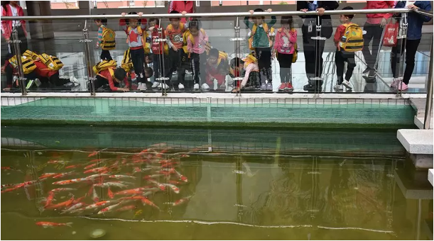 91精品国产自产在线老师啪