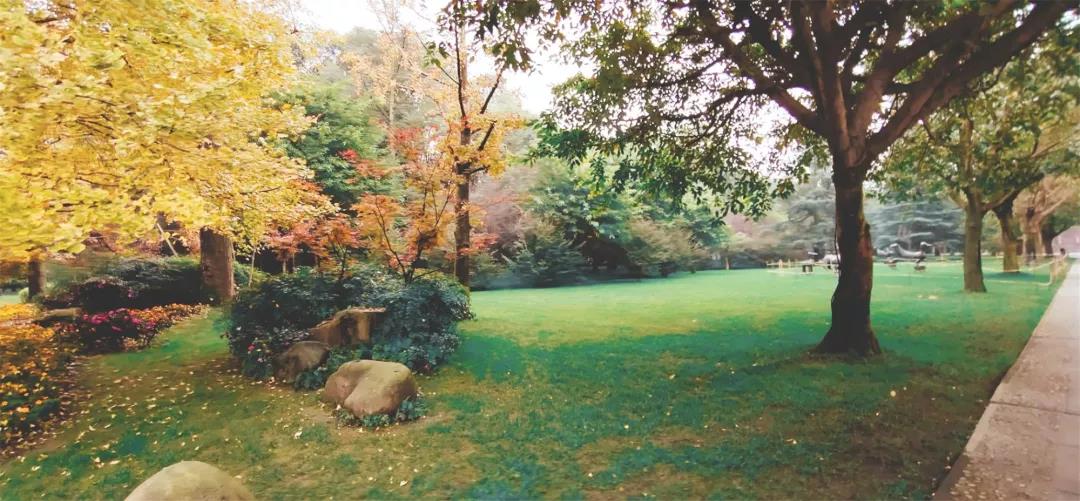 91精品国产自产在线老师啪