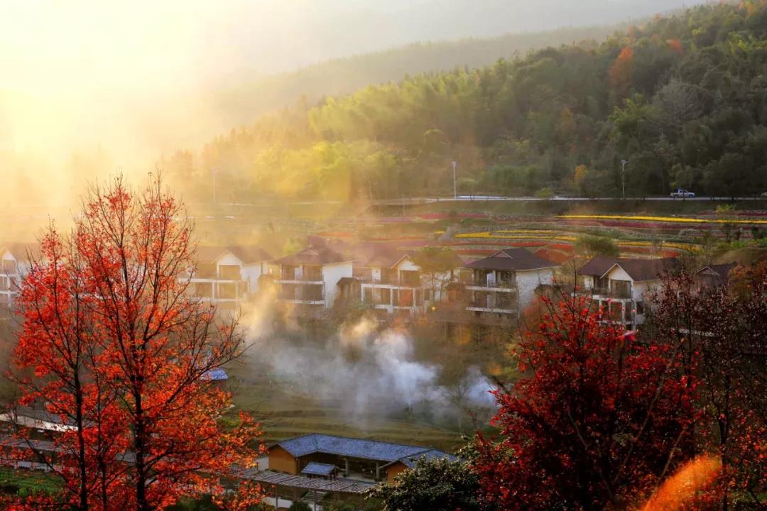 91精品国产自产在线老师啪