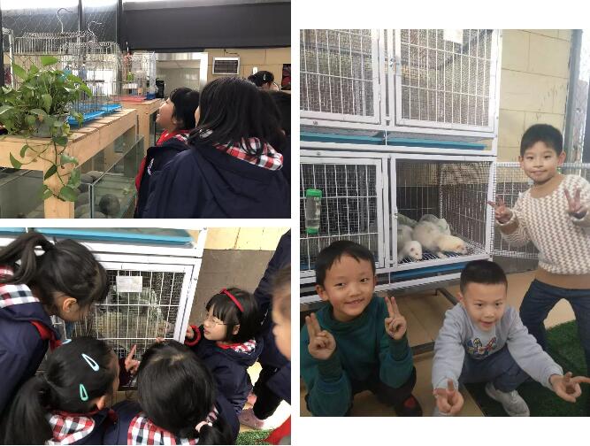 91精品国产自产在线老师啪