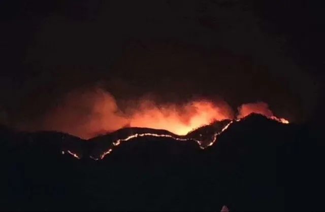 91精品国产自产在线老师啪