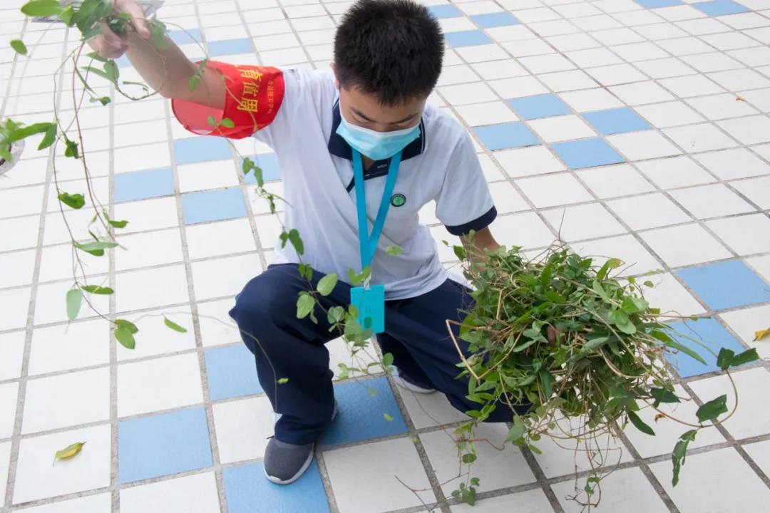 91精品国产自产在线老师啪